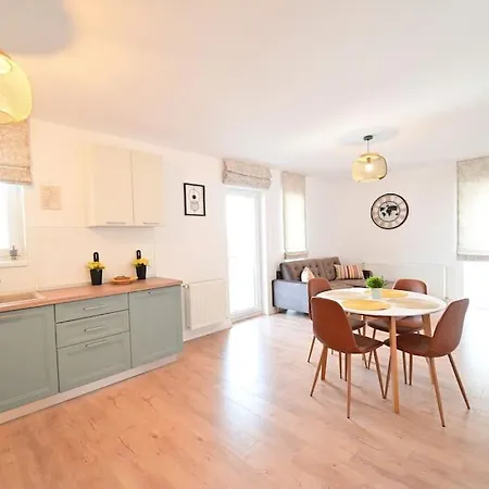 Spacious And Comfy In Apartment Sibiu